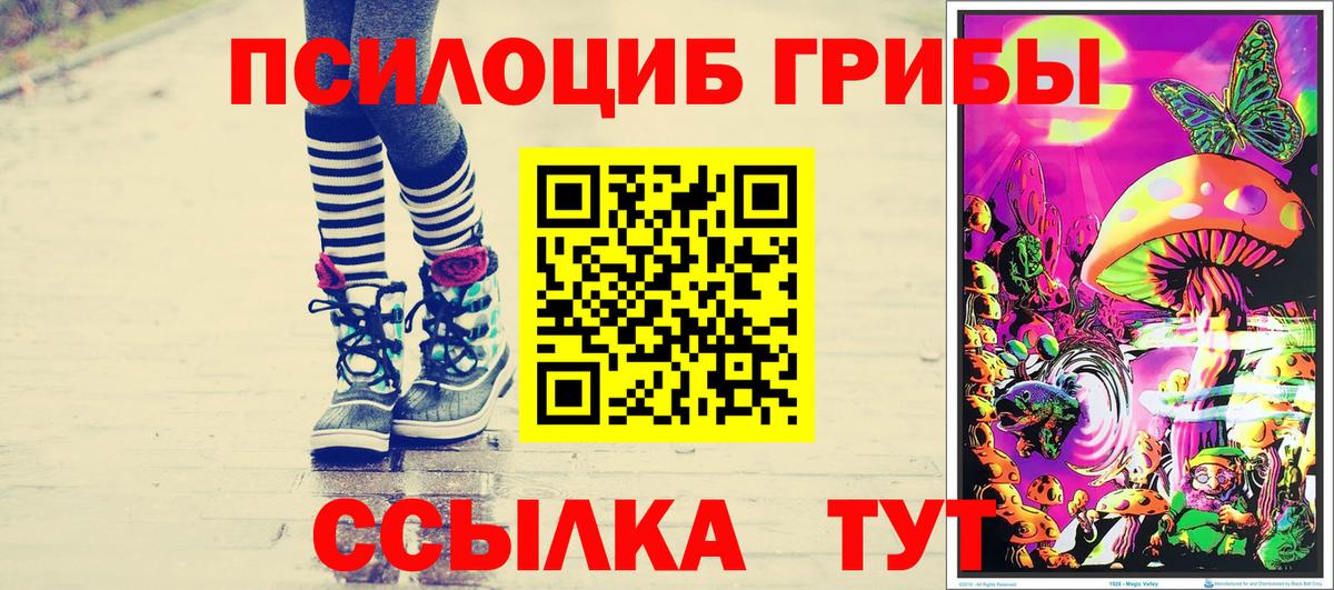 Галлюциногенные грибы мицелий  Вход с VPN  Лениногорск 